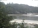 ./images/calvert/beach/20200622/beach20200622_085001.jpg