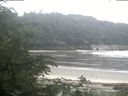./images/calvert/beach/20200623/beach20200623_111502.jpg