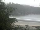 ./images/calvert/beach/20200623/beach20200623_134001.jpg