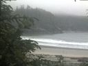 ./images/calvert/beach/20200623/beach20200623_141502.jpg