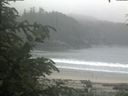 ./images/calvert/beach/20200623/beach20200623_145501.jpg