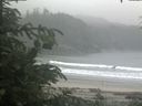 ./images/calvert/beach/20200623/beach20200623_151001.jpg