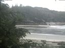 ./images/calvert/beach/20200624/beach20200624_082002.jpg