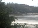 ./images/calvert/beach/20200624/beach20200624_095501.jpg
