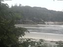 ./images/calvert/beach/20200624/beach20200624_102003.jpg