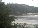 ./images/calvert/beach/20200624/beach20200624_103503.jpg
