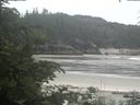 ./images/calvert/beach/20200624/beach20200624_104002.jpg