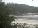 ./images/calvert/beach/20200624/beach20200624_104503.jpg