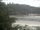 ./images/calvert/beach/20200624/beach20200624_111002.jpg