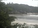 ./images/calvert/beach/20200624/beach20200624_113501.jpg