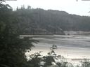 ./images/calvert/beach/20200625/beach20200625_094502.jpg