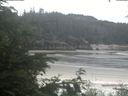 ./images/calvert/beach/20200625/beach20200625_095502.jpg
