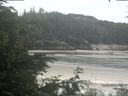 ./images/calvert/beach/20200625/beach20200625_102003.jpg