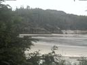 ./images/calvert/beach/20200625/beach20200625_103502.jpg