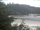 ./images/calvert/beach/20200625/beach20200625_110502.jpg