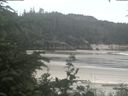 ./images/calvert/beach/20200625/beach20200625_112502.jpg