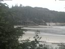 ./images/calvert/beach/20200625/beach20200625_121002.jpg