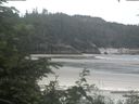 ./images/calvert/beach/20200625/beach20200625_124502.jpg