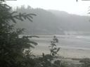 ./images/calvert/beach/20200626/beach20200626_114001.jpg