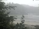 ./images/calvert/beach/20200626/beach20200626_114502.jpg
