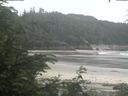 ./images/calvert/beach/20200626/beach20200626_123502.jpg