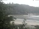 ./images/calvert/beach/20200626/beach20200626_124002.jpg