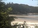 ./images/calvert/beach/20200627/beach20200627_112502.jpg