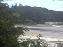 ./images/calvert/beach/20200627/beach20200627_120503.jpg