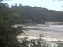 ./images/calvert/beach/20200627/beach20200627_121503.jpg