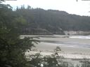 ./images/calvert/beach/20200627/beach20200627_124003.jpg