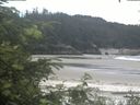 ./images/calvert/beach/20200627/beach20200627_124503.jpg