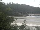 ./images/calvert/beach/20200627/beach20200627_135502.jpg