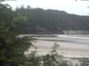 ./images/calvert/beach/20200629/beach20200629_134503.jpg