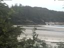 ./images/calvert/beach/20200629/beach20200629_135002.jpg