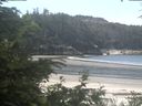 ./images/calvert/beach/20200705/beach20200705_110503.jpg