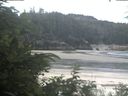 ./images/calvert/beach/20200706/beach20200706_101503.jpg