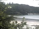 ./images/calvert/beach/20200706/beach20200706_124003.jpg