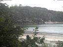 ./images/calvert/beach/20200706/beach20200706_171503.jpg