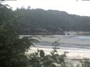 ./images/calvert/beach/20200709/beach20200709_105503.jpg