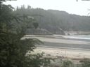 ./images/calvert/beach/20200710/beach20200710_103502.jpg