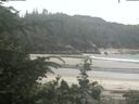 ./images/calvert/beach/20200711/beach20200711_112003.jpg