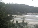 ./images/calvert/beach/20200711/beach20200711_122501.jpg