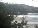 ./images/calvert/beach/20200713/beach20200713_113502.jpg