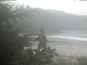 ./images/calvert/beach/20200715/beach20200715_152002.jpg