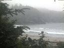 ./images/calvert/beach/20200715/beach20200715_204502.jpg