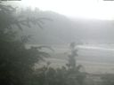 ./images/calvert/beach/20200716/beach20200716_055502.jpg