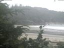 ./images/calvert/beach/20200716/beach20200716_070501.jpg