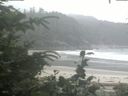 ./images/calvert/beach/20200716/beach20200716_072501.jpg