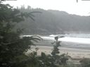 ./images/calvert/beach/20200716/beach20200716_082502.jpg