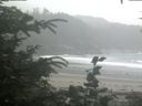 ./images/calvert/beach/20200716/beach20200716_084501.jpg